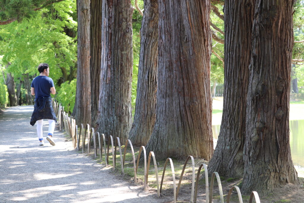 平泉・毛越寺