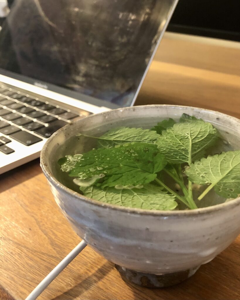 レモンバームティー