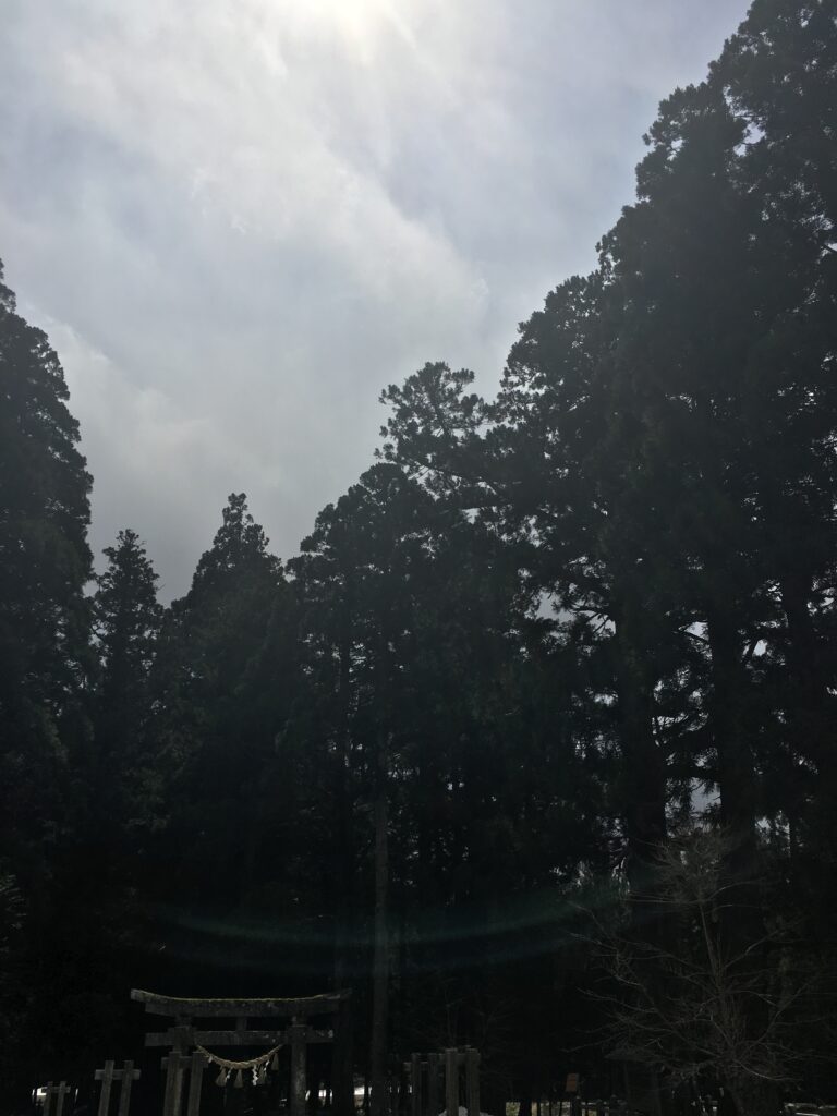 瑞々しい生命エネルギー