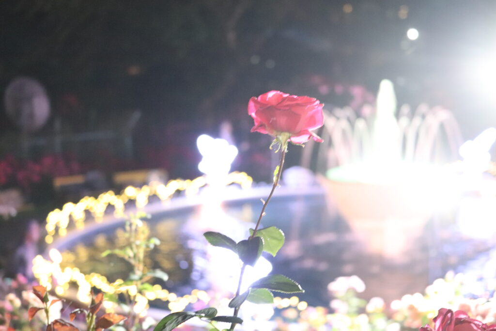 花巻バラ園