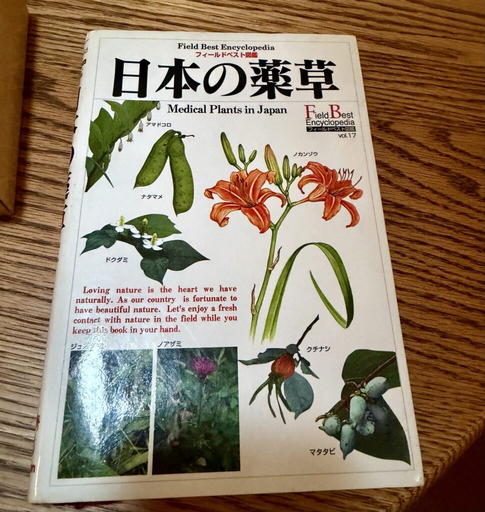 日本の薬草