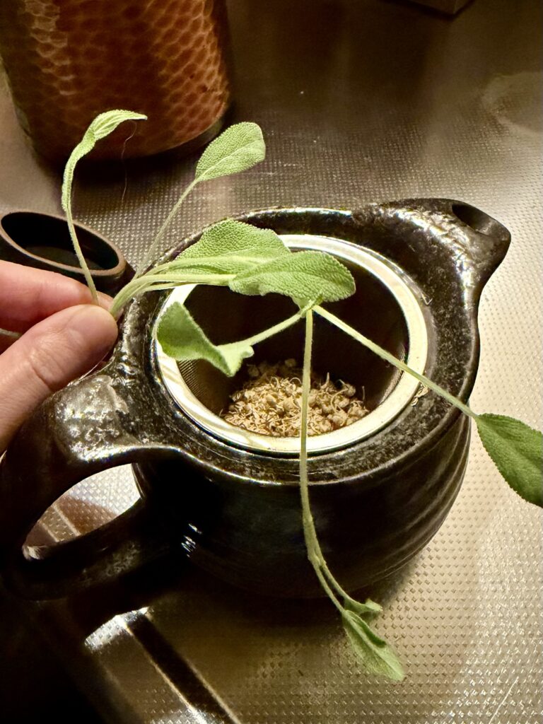 カモミールと生セージ