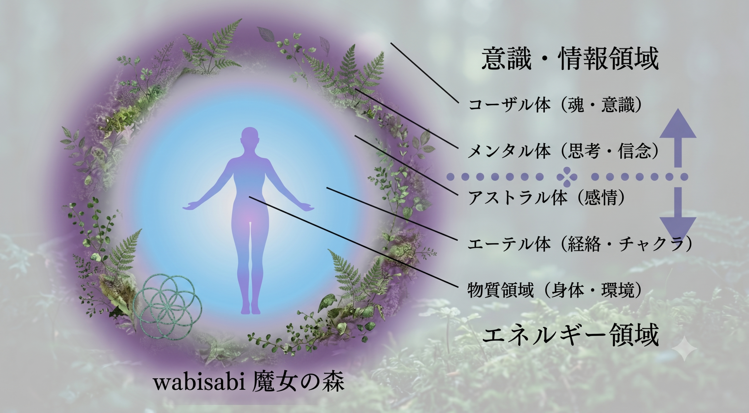 エネルギー５階層