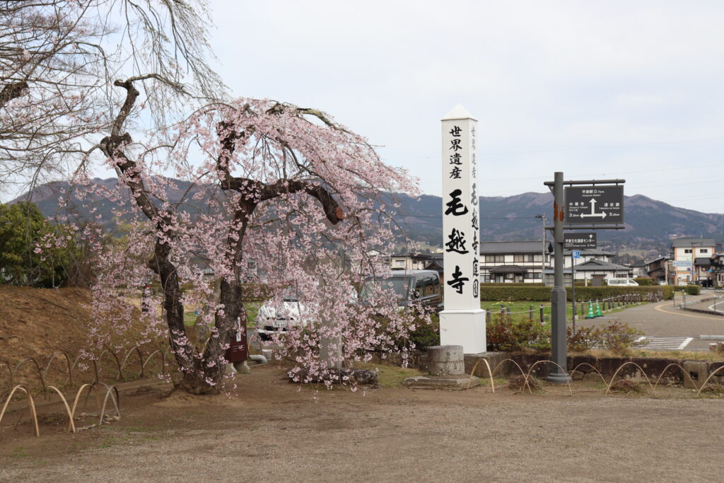 毛越寺