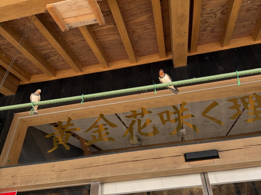 道の駅のつばめ
