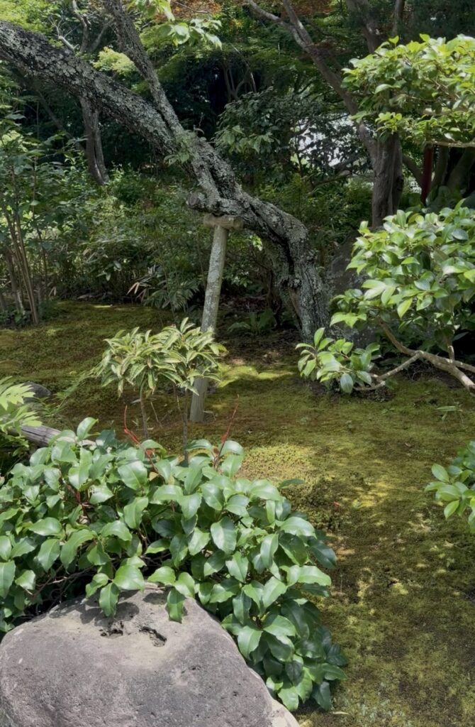 浄妙寺　参道